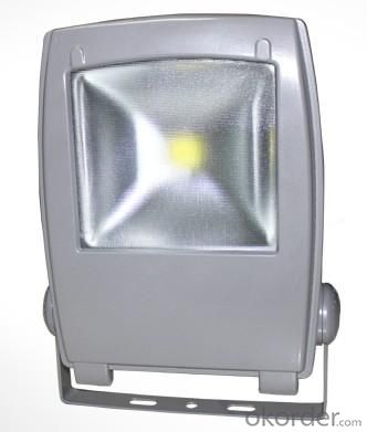 LED RGB Flood Light COB IR Inner Controller High Brightness IP 65 80W System 1