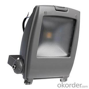 LED RGB Flood Light COB IR Inner Controller High Brightness IP 65 50W System 1