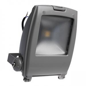 LED RGB Flood Light COB IR Inner Controller High Brightness IP 65 50W System 1