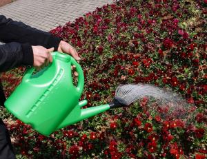 High Quality Outdoor Product PE/PP Green Simple Watering Can