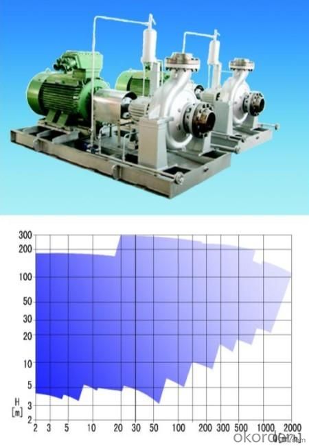 Petrochemical Process Pump System 1