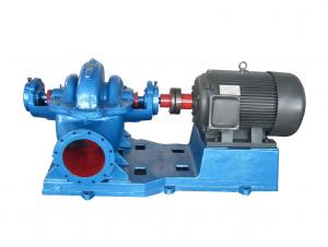 Double Suction Pump System 1