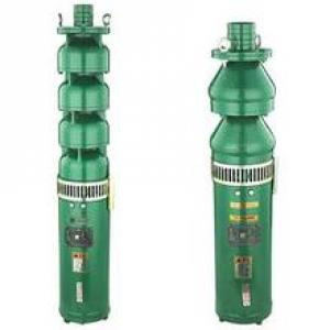 Submersible Pump System 1
