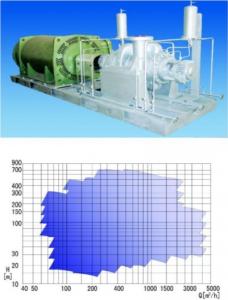 Heavy Oil Chemical Process Pump