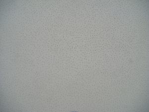 Mineral Fiber Ceiling - Perlite Sand Textures System 1