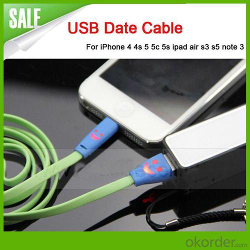Fashion For Iphone 5 Cable,For Iphone Cable System 1