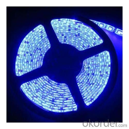 12V 5050 Smd Led Flash 500Cm 5050 Led Strip Led Strip System 1