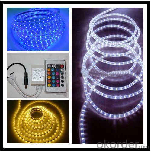 Led Lighting Strip 5050 120 Leds / M 50-100M / Roll System 1