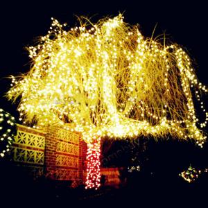 New Christmas Decorations Battery Powered Led Copper String Lights