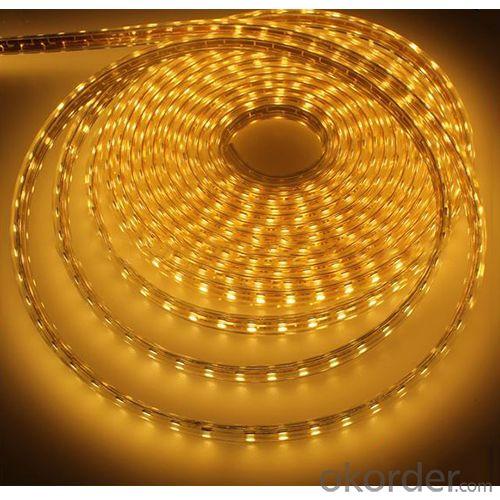 Flexible 12V / 24V 600Leds Waterproof Smd 3528 Light Led 5M Strip System 1