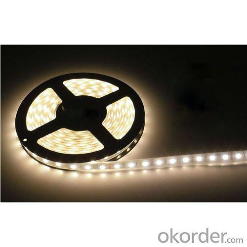 Low Price Ip65 24V 5630Smd 60Led/M Led Strip Light System 1