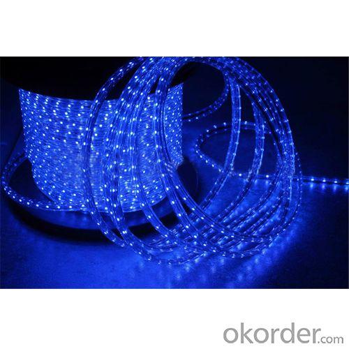 Smd 3528 Waterproof Led Strip Light,220V Decration Light System 1