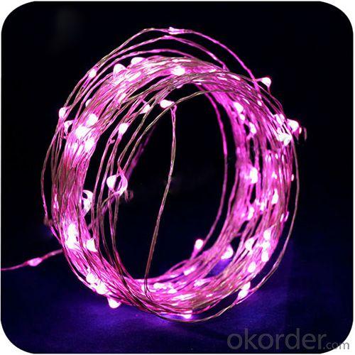 Ce And Rohs Approved Famous Led Copper String Light