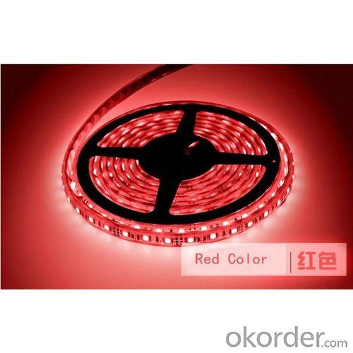 China Led Manufacture High Brightness Hot Sell 14.4W/M Led Ring Light System 1