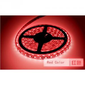 China Led Manufacture High Brightness Hot Sell 14.4W/M Led Ring Light System 1