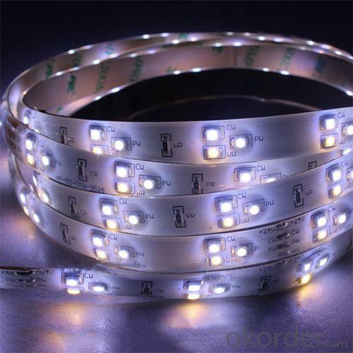 Rgb Flexible Led Strip 5050 (Ce Rohs) System 1