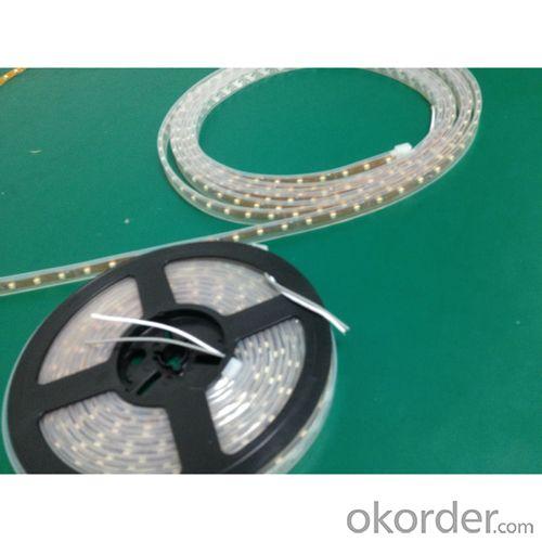 24 Months Warranty High Brigntness Led Strip Dc12V System 1