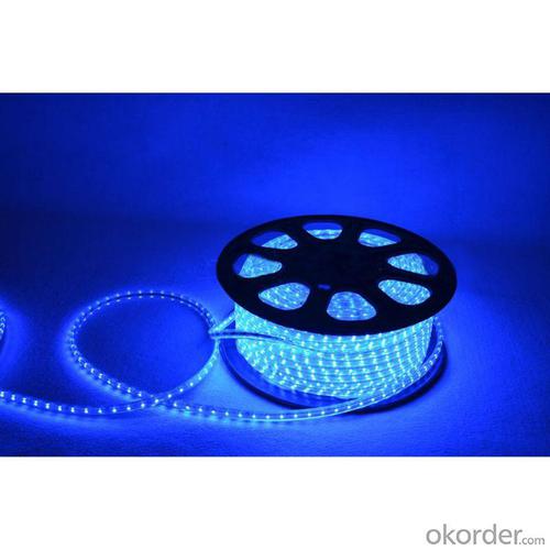 Factory Price Led Strip 5050 Rgb Ip66 100M/Roll 220V Led Flexible Strip Led Strip Lights System 1