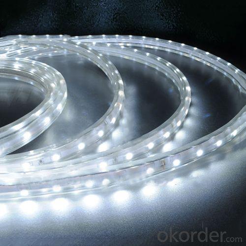 CeRohsSgs 5050 Smd Flexible Led Strip Light System 1