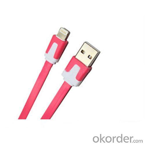 Flat Mini Usb Cable System 1