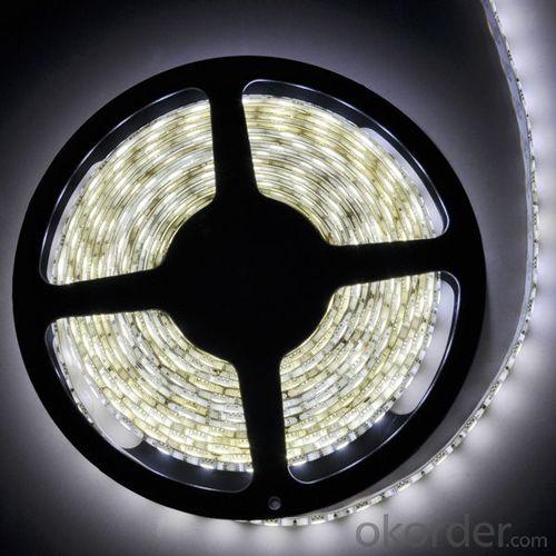 Low Voltage 3 Years Warranty White Rohs Ce 300 Leds 3528 Smd 12 Volt Led Light Strips/ Waterproof Led Light Strip 5M System 1