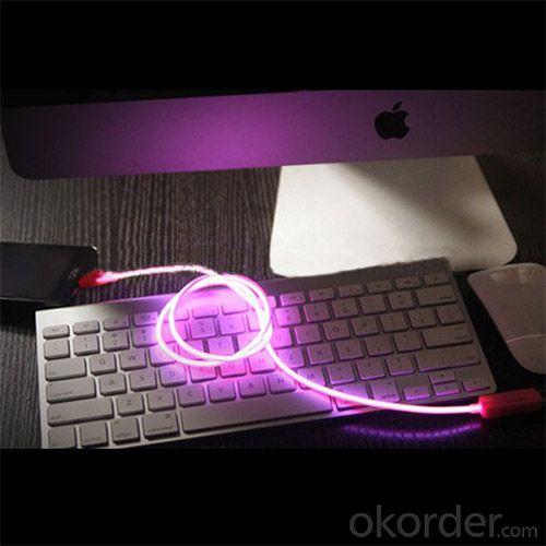 Led Flashing Usb Cable System 1