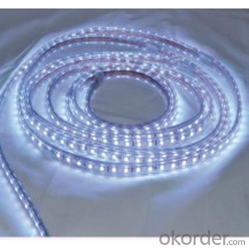 New Design Jz-3528-60 Led Flexible Strip Light White Yellow Blue Red System 1