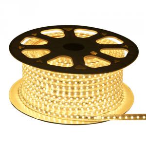 Factory Newest No Need Power Supply 110V/220V 60Leds/M Flexible Led Strip Light Strip Led Strip 5050