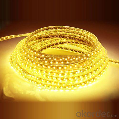 Smd Led Strip 5050 System 1