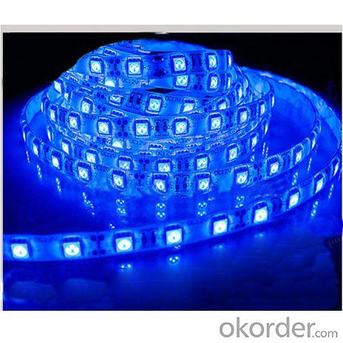 Smd 3528 30Led/Meter Ip65 / Ip67 Blue Color Led Strip System 1