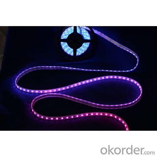 Epistar Led Strip 5050; Rgb 5050 Led Strip; Dc12V Input / Addressable Ws2811 Ws2812 Led System 1