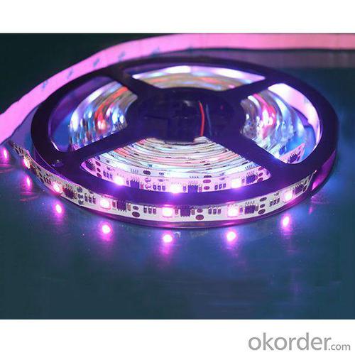 Hot Selling Of Smd5050 Digital/Pixel/Video Led Strip With 1903 Ic System 1