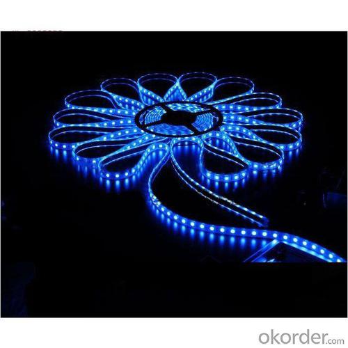 High Quality Lowest Price 24V Rgbw Flexible Led Strip System 1