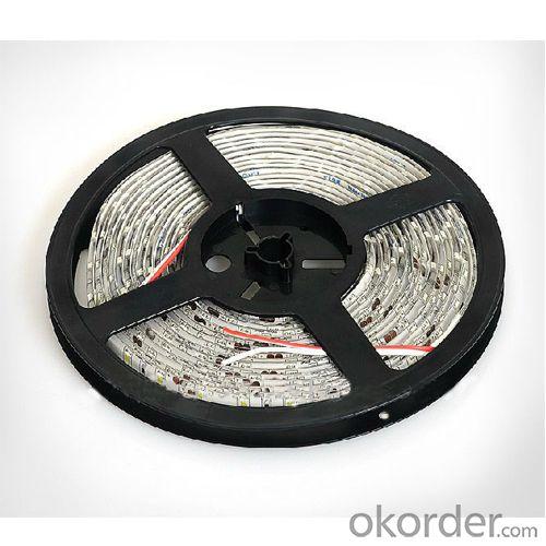 Factory Price Led Strip 5050 Rgb Ip68 5M/Roll Led Flexible Strip Rgb Led Strip Lights System 1