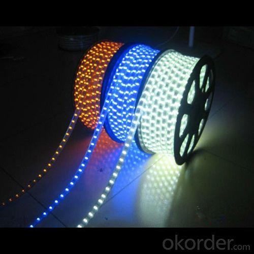 High Quality Single Color Smd 5050 Led Strip 220V 60/M Led Strip Light Warm White Flexible Led Strip Light System 1