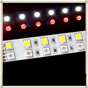 Rgb+White Special Fex Led Strip Light Smd5050-Rgb/W In Two Line System 1