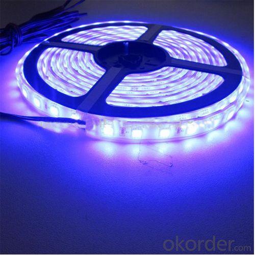 Ul Listed Dc12V 60Leds Per Meter Waterproof Smd5050 Flexible Led Strip System 1