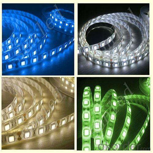 Promotion Packing 5M Dc12V Waterproof Ip65 Smd 5050 300Leds Rgb Led Strip System 1