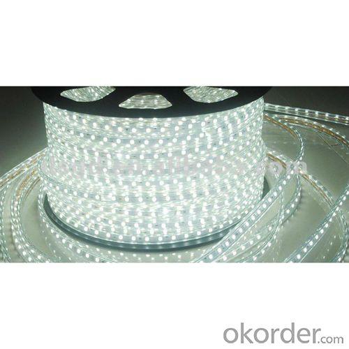 High Voltage Smd5050 Led Strip Light System 1