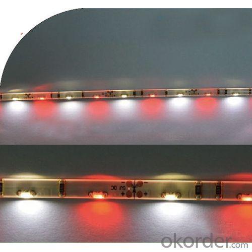 5V Usb Rgb Side View Led Strip Light System 1