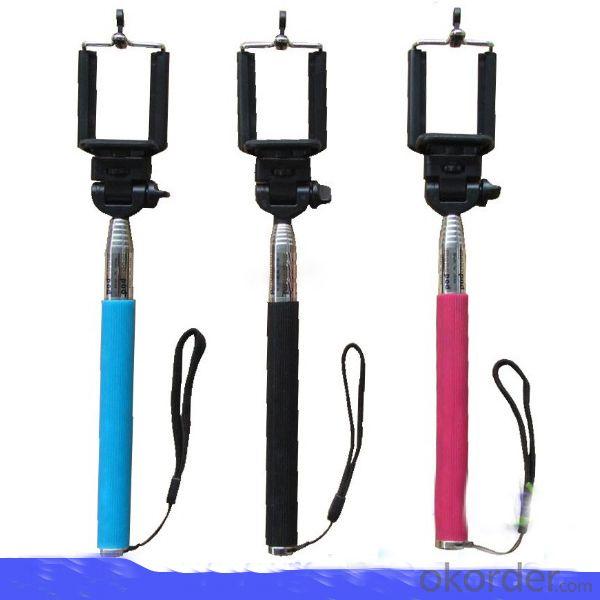 electric monopod