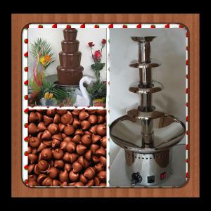 Chocolate/Wine Fondue Fountain System 1