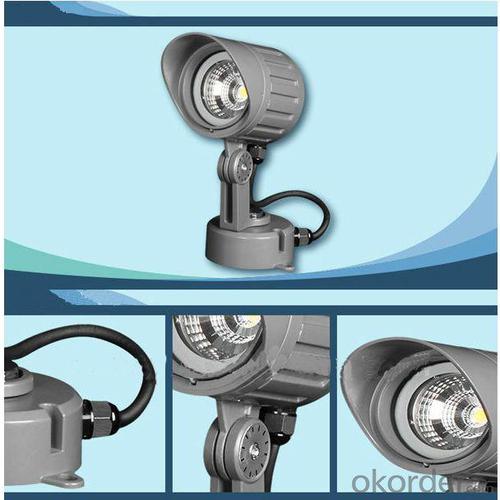 High Power LED Landscape Light IP65 Ar3Bqm0128A 1*10W Cob From China Manufacturer System 1