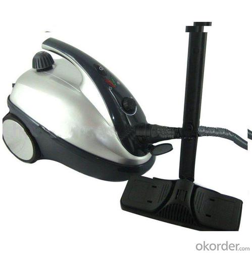 Hot Selling Big Canister Steam Cleaner With 2.0L Boiler And 1800W Power-High Grade System 1