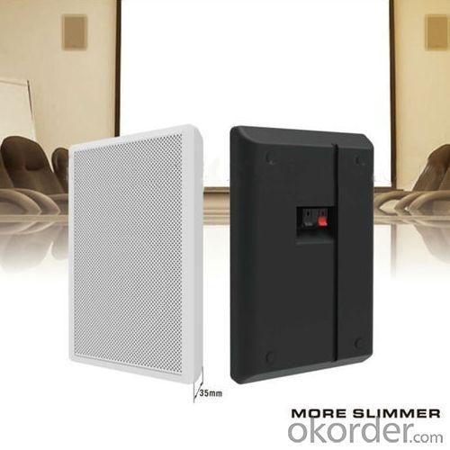 5.25" 2-way Wall Mounted Slim Vibrating Speaker Made in China Easy to Install System 1