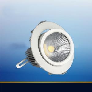 Round Design With Rotation And Gimbal Housing 20W 30w Ajustable Led Downlight
