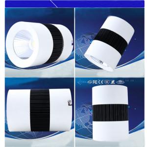 Surface Mounted Led Downlight 30w Led COB Downlight System 1