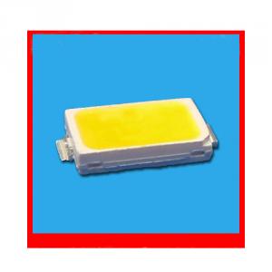 Epistar Chip 0.5W SMD LED 5730 50-60lm (Rohs Certificate)
