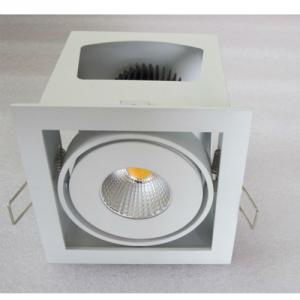 COB LED Downlight 20W, People Will Gather