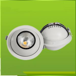 Dimmable LED Downlighting 20W/COB LED DOWNLIGHT/Popular Led Downlights